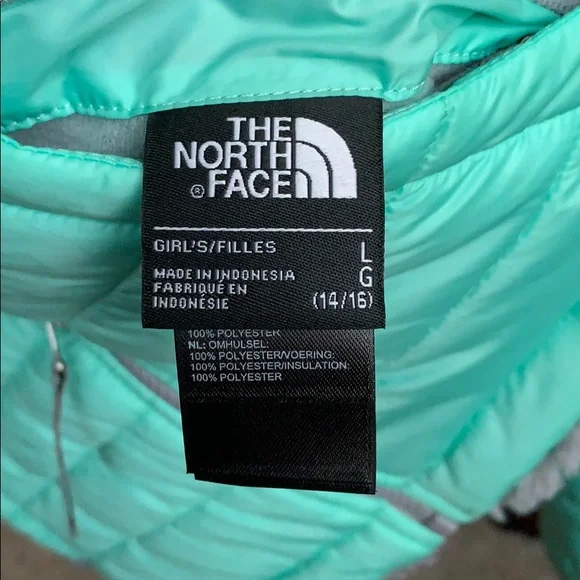 NWOT North Face Mossbud Swirl jacket
